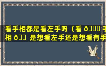 看手相都是看左手吗（看 💐 手相 🐠 是想看左手还是想看有手）